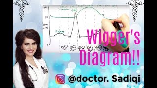 Wiggers Diagram EXPLAINED WITHIN 3 MINUTES [upl. by Nolek]