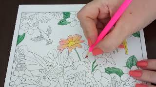 ASMR Fairy Gardens Coloring Book 19 [upl. by Inot]