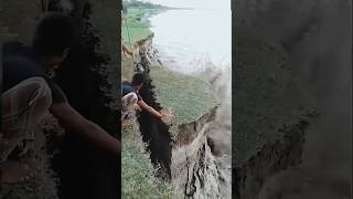 Karnali river cutting floodriver cute karnalishorts [upl. by Ylyl309]