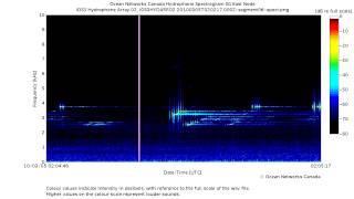 Powerful Sonar Pings and Sweeps in the Strait of Georgia [upl. by Ahseinar]