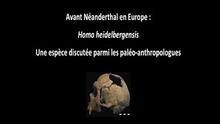 Avant Néandertal en Europe  Homo Heidelbergensis 13 [upl. by Chobot]