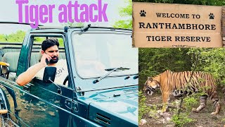 Ranthambore Jungle safari  Tiger Attack😱  zone 8  best zone of jungle ranthambore [upl. by Singer14]