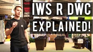 IWS R DWC Explained Featuring Craig from NUT Systems [upl. by Gwyneth573]