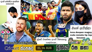 CRICKET Special 🦁🏏🦘SL vs AUS 3rd ODI  Australia Tour of Sri Lanka 2022 Bukiye Rasa Katha Part  25 [upl. by Renaxela90]