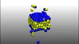 Self Assembly of Lipid Bilayer Membrane [upl. by Suoiradal]