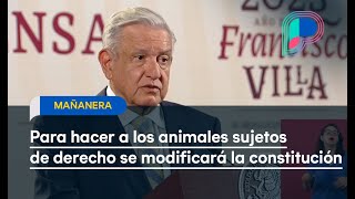 Se modificará la constitución para hacer a los animales sujetos de derecho AMLO [upl. by Beka]