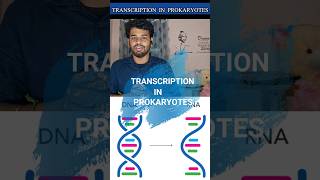 Transcriptionprokaryotestamilnotesrna synthesisprocessdiagramgene expressioncsir netDna [upl. by Mayrim]