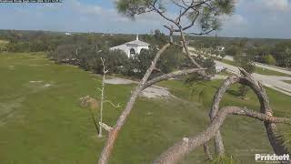 SWFL Bald Eagles 10312024 1418 [upl. by Amol706]