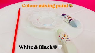 Mixing Black And White  What Color Make Black And White  Mix Acrylic Colors [upl. by Hserus]