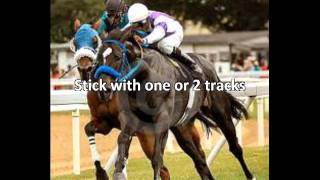 watch live horse racing free [upl. by Oicaro5]