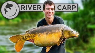 How To Catch Carp From RIVERS  4 steps to catching river carp [upl. by Ailices]