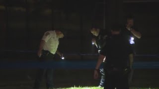 3 people shot in front of tent shelter for migrants on Randalls Island NYPD [upl. by Blondell708]