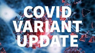 Covid Variant Update JN1 Is Clearing The Board [upl. by Talbott]