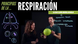 Ventilación pulmonar principios básicos de la respiración [upl. by Aicilana34]