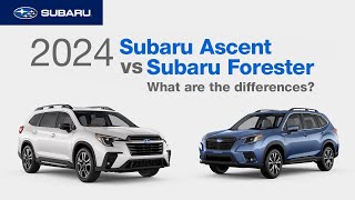 2024 Subaru Ascent vs 2024 Subaru Forester  What Are The Differences [upl. by Nyl]