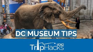 8 Tips for the Smithsonian and FREE museums in DC [upl. by Nnylsor]