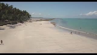 Praia dos Carneiros  Carneiros Beach Resort [upl. by Ardnasxela]