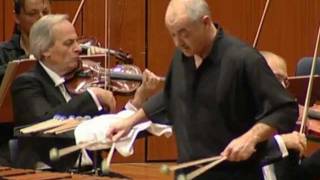 Ney Rosauro  Marimba Concerto No1 Mvmt2 Lamento performed by Roland Härdtner 2010 [upl. by Anastassia]