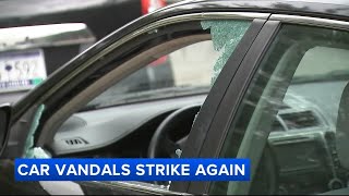 At least 12 cars ransacked during vandalism spree in Center City [upl. by Enitselec]