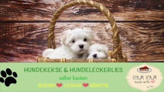 Hundekekse Selber Backen  Die gesündesten Rezepte für deinen Hund [upl. by Poore]