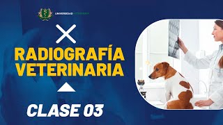 RADIOGRAFÍA VETERINARIA  CLASE 03 [upl. by Okiruy832]