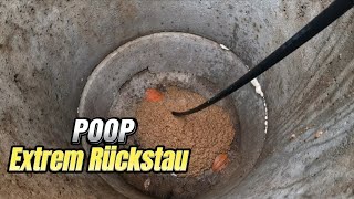 Rohrreinigung 129 POOP Brei kocht im Schacht [upl. by Eirdua458]