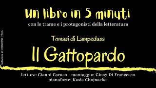 quotUN LIBRO 5 IN MINUTIquot  quotIl Gattopardoquot  romanzo di Giuseppe Tomasi di Lampedusa [upl. by Nuahc409]