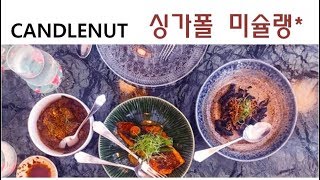 싱가폴미슐랭스타 캔들넛런치 먹으러 Candlenut restaurant [upl. by Acnaiv]