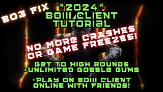 BOIII Client Full Tutorial 2024  How to Setup Radmin VPN to Play BO3 Zombies Multiplayer w Friends [upl. by Analos617]