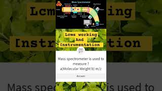 Mass Spectrometry I Principle and Instrumentation I analyticalChemistry lcms massspectrometry [upl. by Warner862]