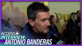 Antonio Banderas Praises Wonderful Harrison Ford [upl. by Ecinrev43]