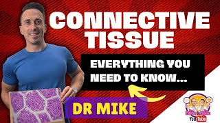 Connective Tissue  Everything you need to know [upl. by Almeeta]