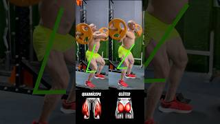 quotBarbell Squat Variations to Boost Your Workoutquot [upl. by Aicirtac605]