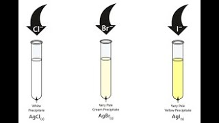 4 Identification of Acid Radicals  Anion [upl. by Uella]