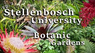 Ep2  Stellenbosch University Botanic Gardens [upl. by Adnovaj]