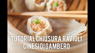 Tutorial come chiudere gli involtini di gambero cinese o Shaomài [upl. by Ntsuj]