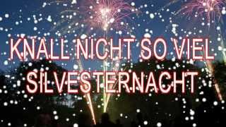 Lustige Silvestersprüche [upl. by Huldah372]