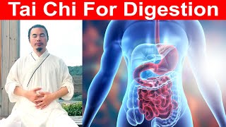 Tai Chi Moves for Better Digestion Boost Your Gut Health Naturally  Taichi Zidong [upl. by Angelica]