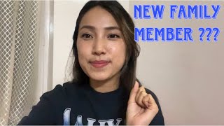 NEW FAMILY MEMBER  INTRODUCTION  Tibetan Vlogger [upl. by Magel]