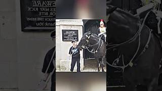 Kingsguard Horse bites police called [upl. by Ellersick]