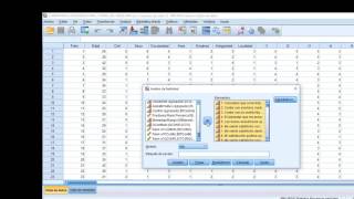 Cómo conocer la validez de una escala usando el programa SPSS [upl. by Harrus695]