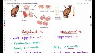 Polyclonal Vs Monoclonal antibodies [upl. by Salvay]