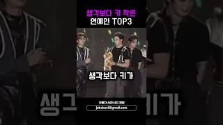 생각보다 키 작은 연예인 TOP3 스키즈 권은비 김혜윤 [upl. by Goat]