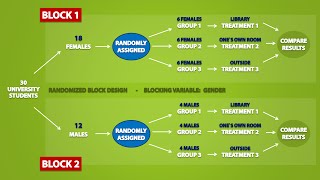 Types of Experimental Designs 33 [upl. by Nryhtak]