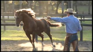 Parelli Natural Horsemanship [upl. by Aneloj]