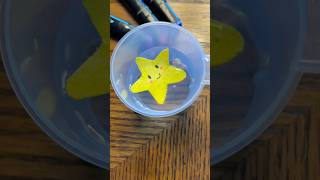 How to draw a cute Star  Super Easy stepbystep diy tutorial ⭐️😊 [upl. by Maril]