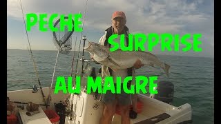 🎣 une technique spéciale en bateau pour le maigre ou la courbine🎣 28 [upl. by Jill680]