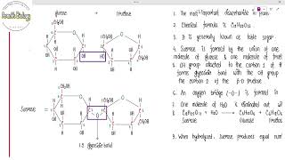 Sucrose Disaccharide [upl. by Poole]