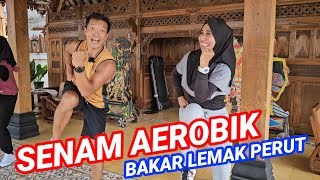 SENAM AEROBIK VIRAL BAKAR LEMAK PERUT [upl. by Meehsar]