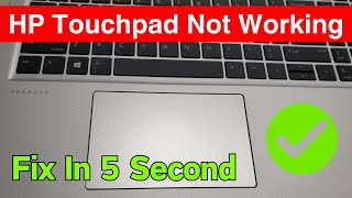 How To Fix HP Touchpad Not Working In Windows 1110  HP Laptop Touchpad Not Working Easiest Way [upl. by Mcleod]